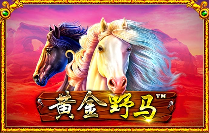 app官网登录入口